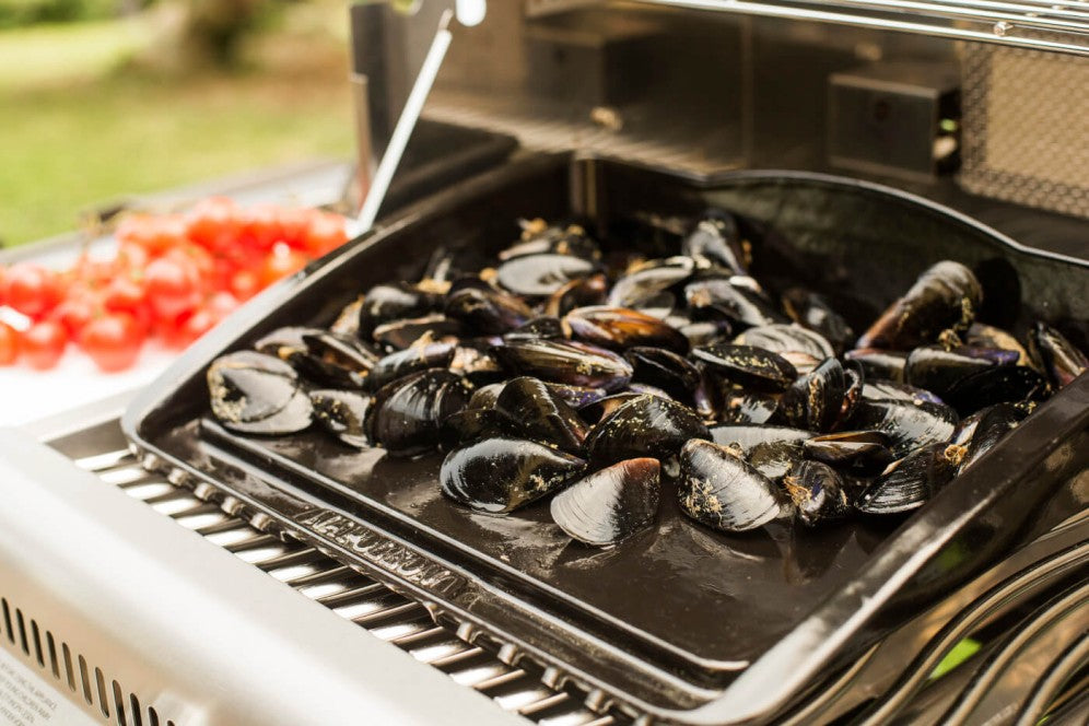 PLANCHA EN FONTE 56090