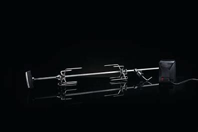 ENSEMBLE ROTISOIR POUR ROGUE 365/425/525 (69811)