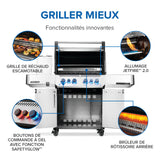 Prestige® 500 RSIB avec brûleurs latéral et arrière infrarouges P500VRSIBPSS